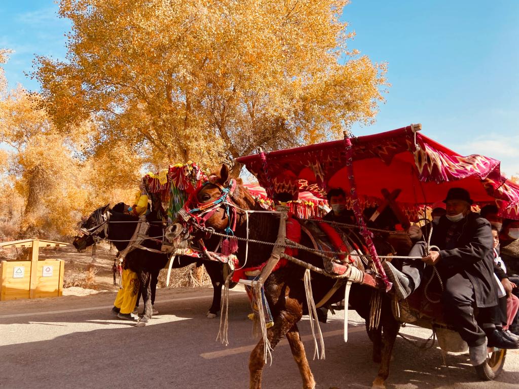 我院舉辦“石榴籽杯”攝影作品征集評選活動