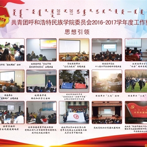 2017年度團委工作匯編