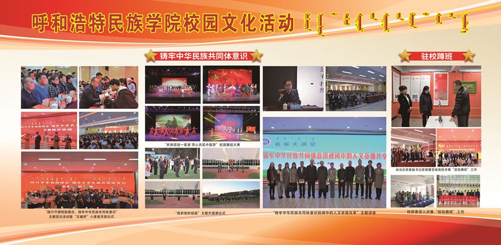 2023年度團委工作匯編